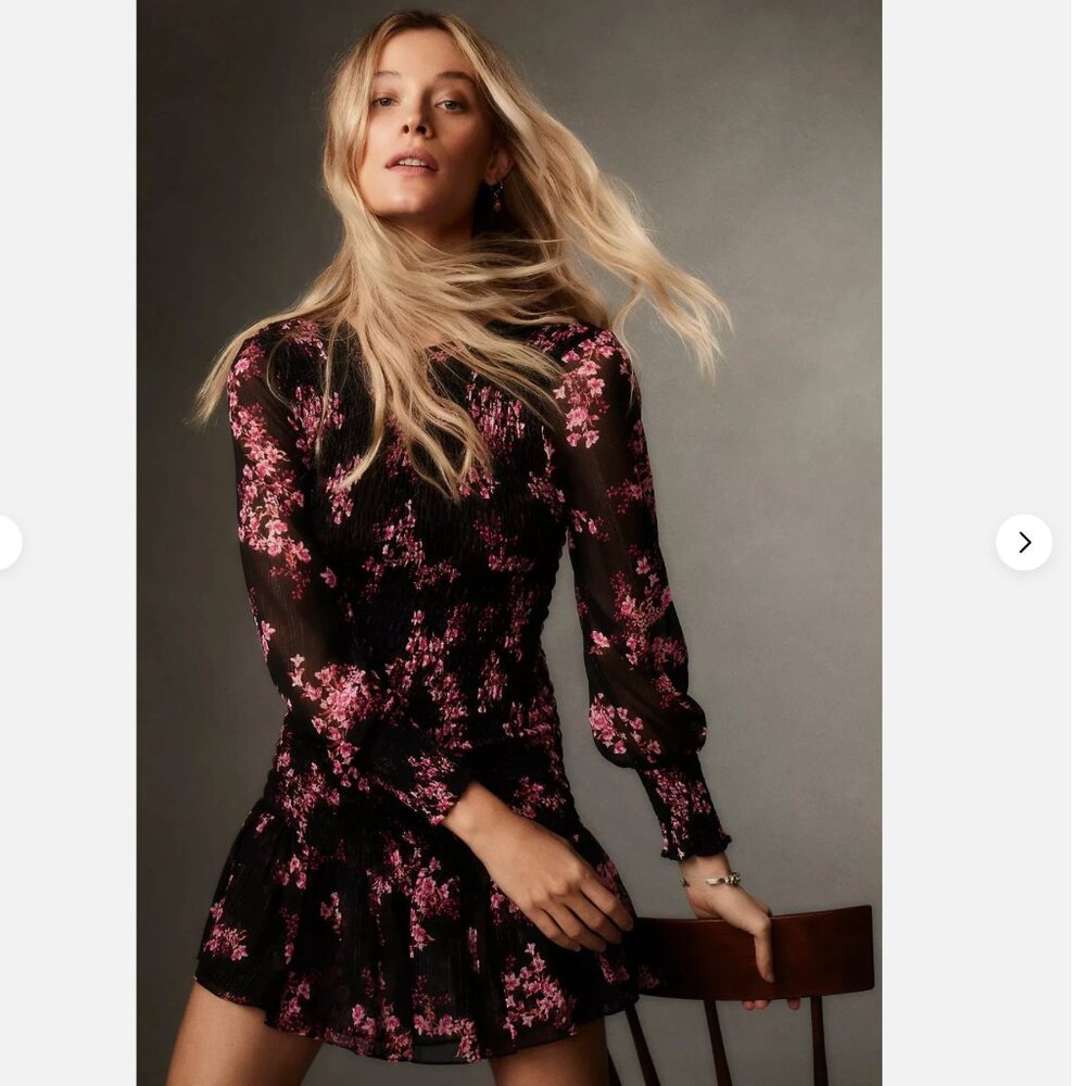 MISA Anthropologie Roisin Smocked Floral Ruffle Flounce Semi Sheer Mini Dress S